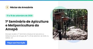 imagem destacada 1º seminario do mel Amapa