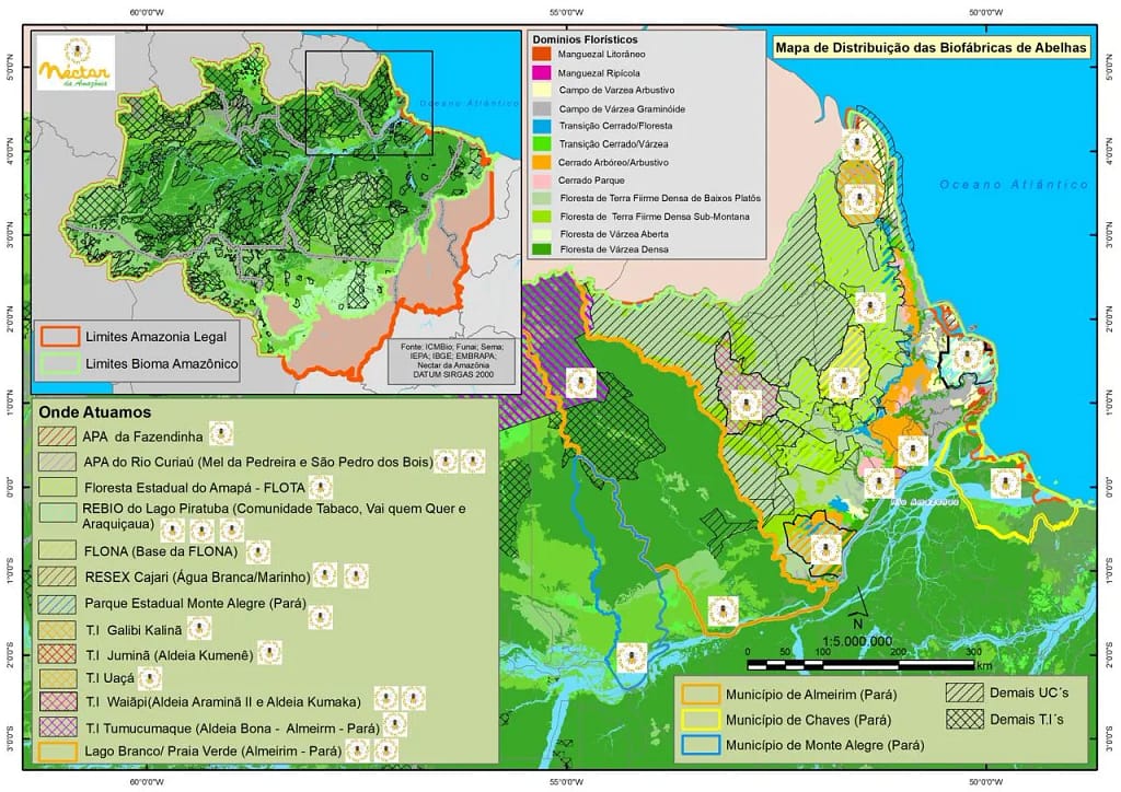 Mapa distribuição das biofábricas de abelhas - Estado do Amapá - Néctar da Amazônia
