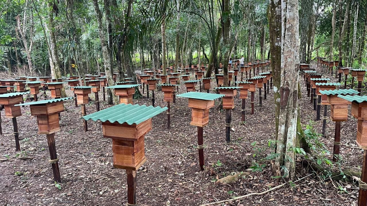 1º Seminário de Apicultura e Meliponicultura do Amapá