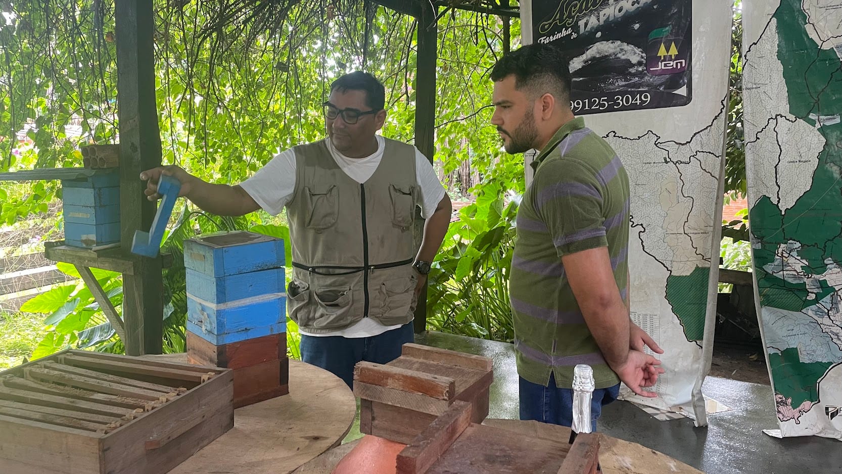 Programa de Iniciação na Meliponicultura (Mentoria + Suporte) - Edição Limitada - Imagem 2