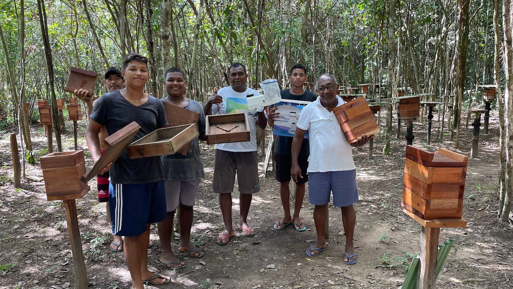 Programa de Iniciação na Meliponicultura (Mentoria + Suporte) - Edição Limitada - Imagem 4