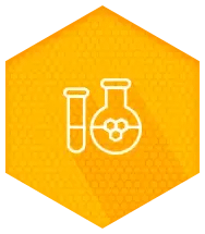 Ícone Consultoria para o Desenvolvimento da produção de mel