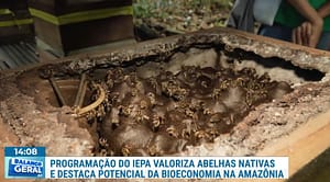 Capa imagem Richardson Frazao no Balanco Geral