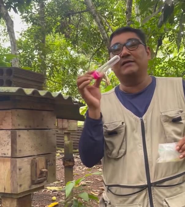 Richardson Frazão realizando coleta de pólen em meliponário de Uruçu Cinzenta próximo a açaizais
