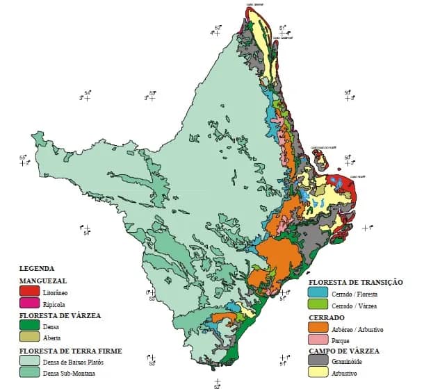 Mapa Amapá mostrando florestas, cerrado, manguezal, campo de várzea