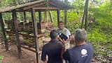Programa de Iniciação na Meliponicultura (Mentoria + Suporte) - Edição Limitada